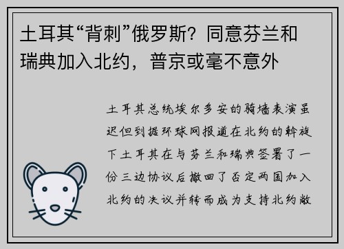 土耳其“背刺”俄罗斯？同意芬兰和瑞典加入北约，普京或毫不意外
